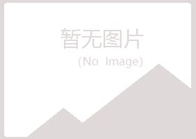 河池紫山电讯有限公司